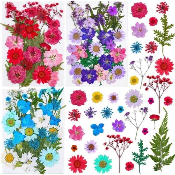 100Pcs Dried Pressed Flowers for Resin Crafts, Small Dried Flower Natural Herbs - Picture 1 of 8